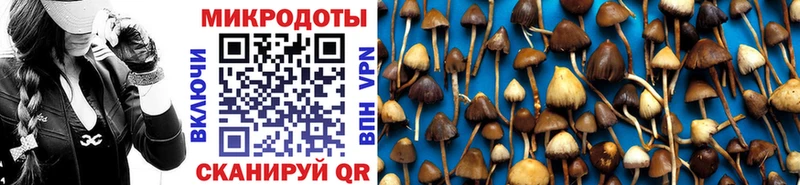 купить закладку  Находка  Псилоцибиновые грибы ЛСД 