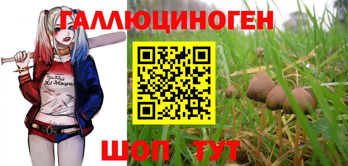 Галлюциногенные грибы мицелий  Вход с VPN  Находка 